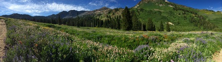 Enlarge photo 97