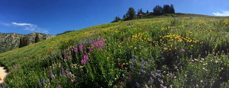 Enlarge photo 110