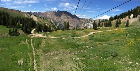Enlarge photo 175