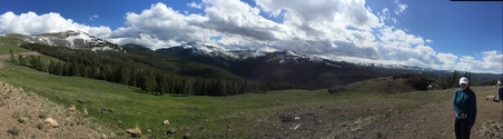 Enlarge photo 425