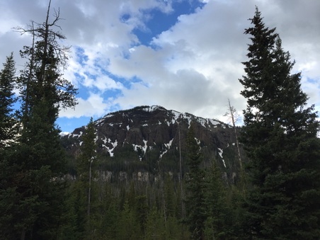 Enlarge photo 387