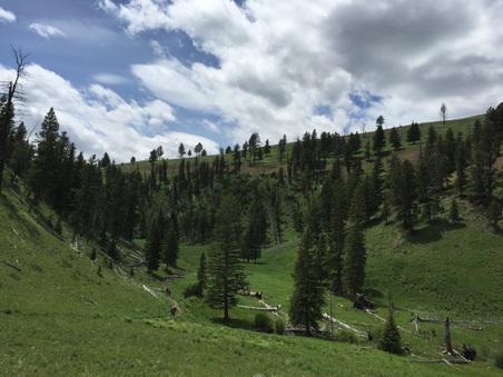 Enlarge photo 363
