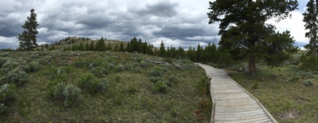 Enlarge photo 343