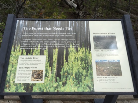 Enlarge photo 338