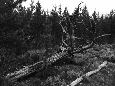 Enlarge photo 327