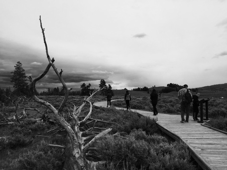 Enlarge photo 307