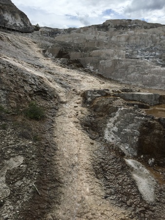 Enlarge photo 278