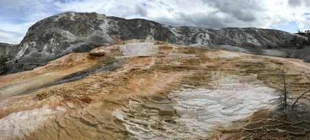 Enlarge photo 259