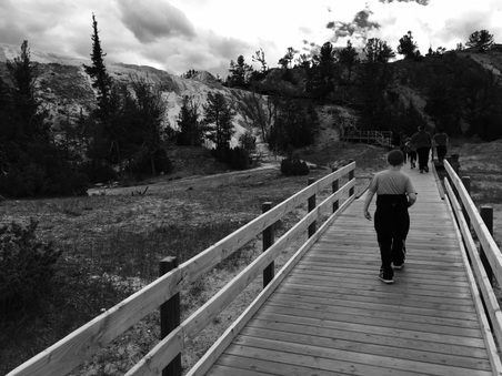 Enlarge photo 256