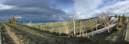 Enlarge photo 230