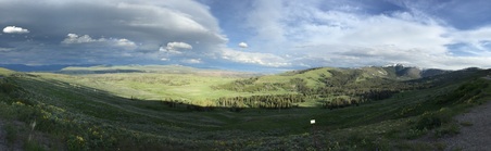 Enlarge photo 228
