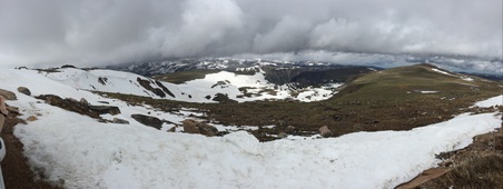 Enlarge photo 195