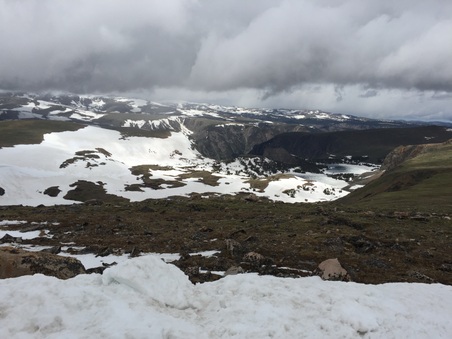 Enlarge photo 194
