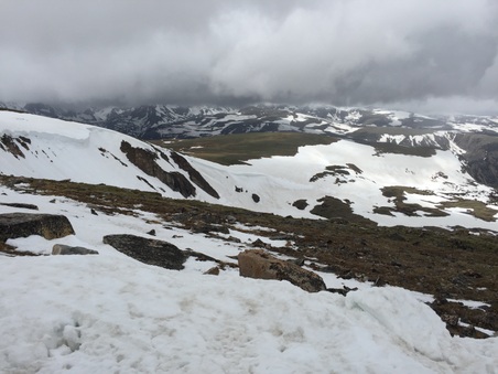 Enlarge photo 193