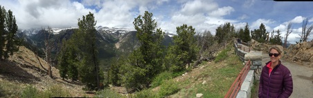 Enlarge photo 185