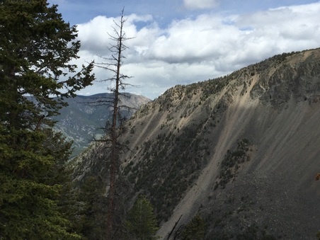 Enlarge photo 182