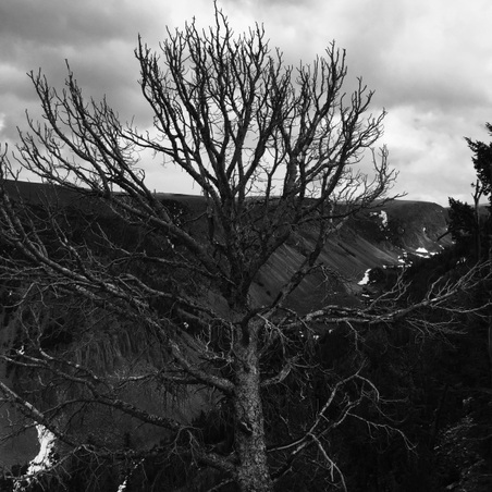 Enlarge photo 159