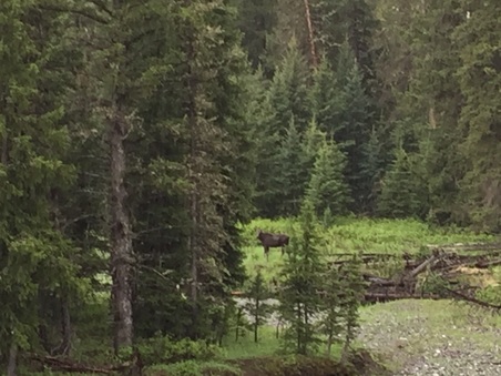 Enlarge photo 106