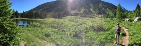 Enlarge photo 41