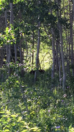 Enlarge photo 19