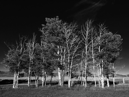 Enlarge photo 29