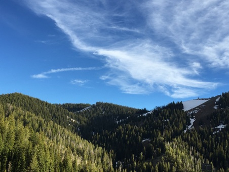 Enlarge photo 32