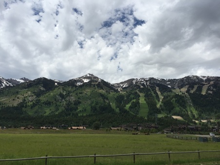 Enlarge photo 495