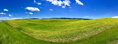 Enlarge photo 467