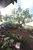 Enlarge photo 49