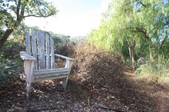 Enlarge photo 50
