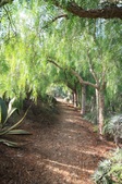 Enlarge photo 51