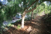 Enlarge photo 52
