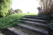 Enlarge photo 53