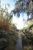Enlarge photo 55