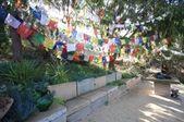 Enlarge photo 58