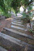 Enlarge photo 61