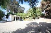 Enlarge photo 81