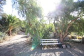Enlarge photo 90