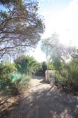 Enlarge photo 91