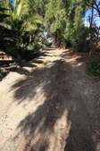Enlarge photo 93