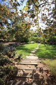 Enlarge photo 97