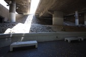 Enlarge photo 41
