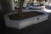 Enlarge photo 43