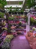 Enlarge photo 26