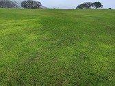 Enlarge photo 28