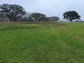 Enlarge photo 30