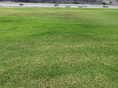 Enlarge photo 33