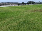 Enlarge photo 34