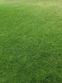 Enlarge photo 38