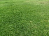Enlarge photo 39